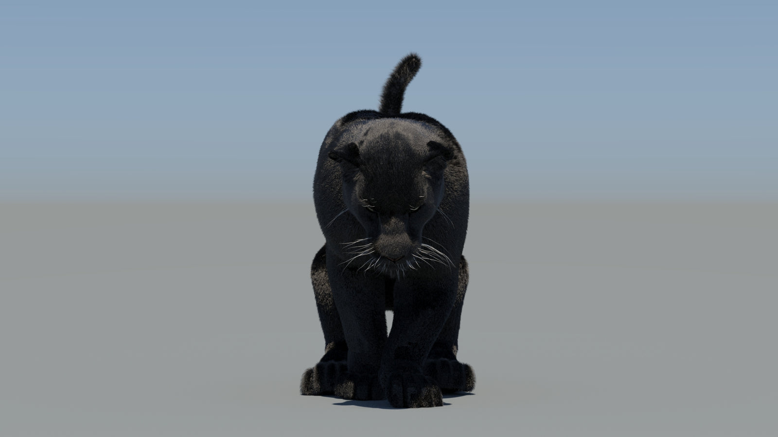 Animated Black Panther 3D Model Fur 360° view 5 frame 46