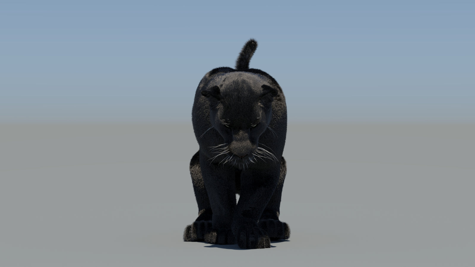 Animated Black Panther 3D Model Fur 360° view 5 frame 47