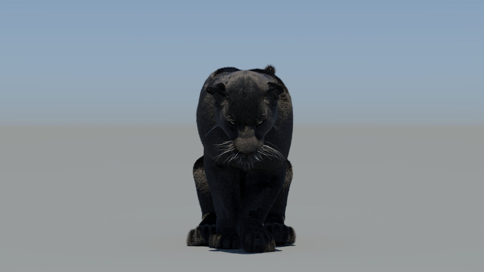 Animated Black Panther 3D Model Fur 360° view 5 frame 49