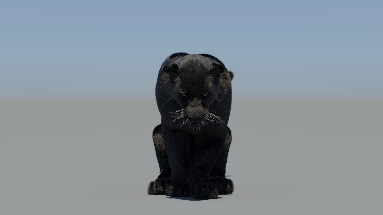 Animated Black Panther 3D Model Fur 360° view 5 frame 50