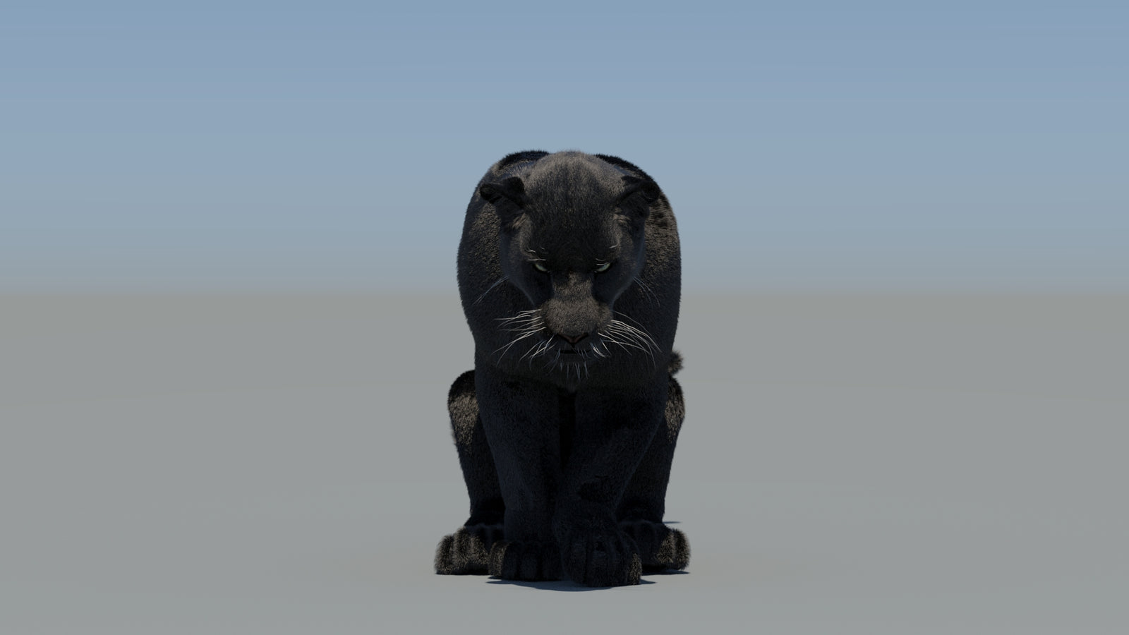 Animated Black Panther 3D Model Fur 360° view 5 frame 52