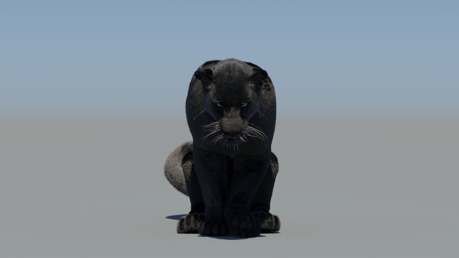 Animated Black Panther 3D Model Fur 360° view 5 frame 53