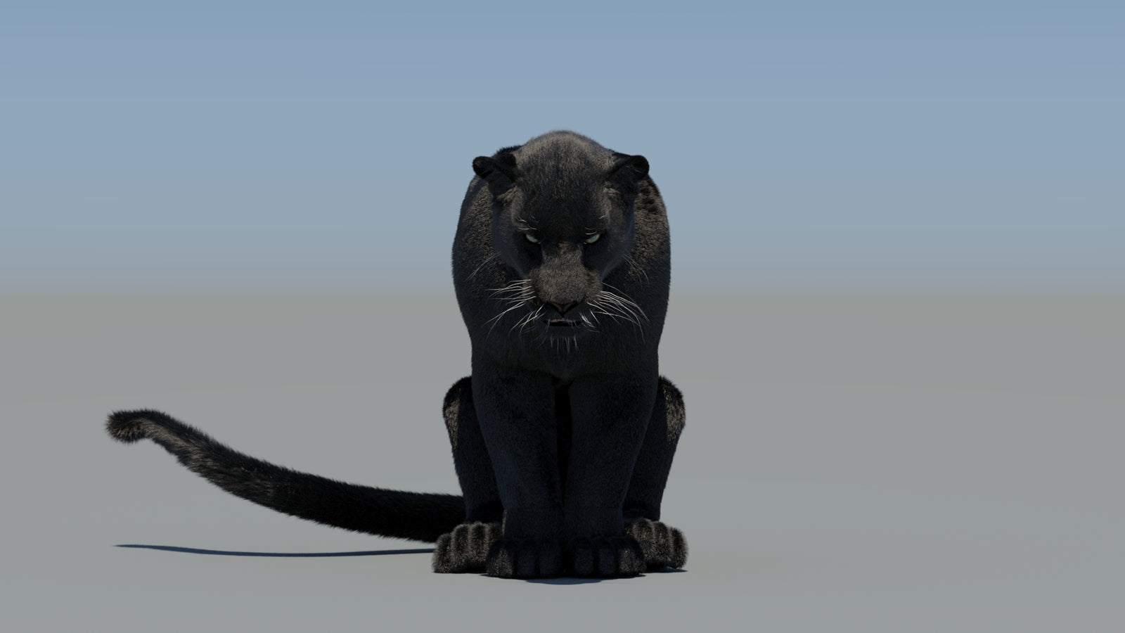 Animated Black Panther 3D Model Fur 360° view 5 frame 58