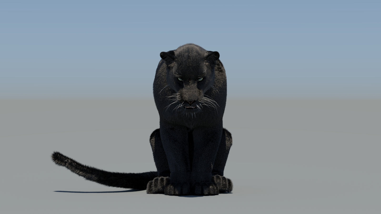 Animated Black Panther 3D Model Fur 360° view 5 frame 62