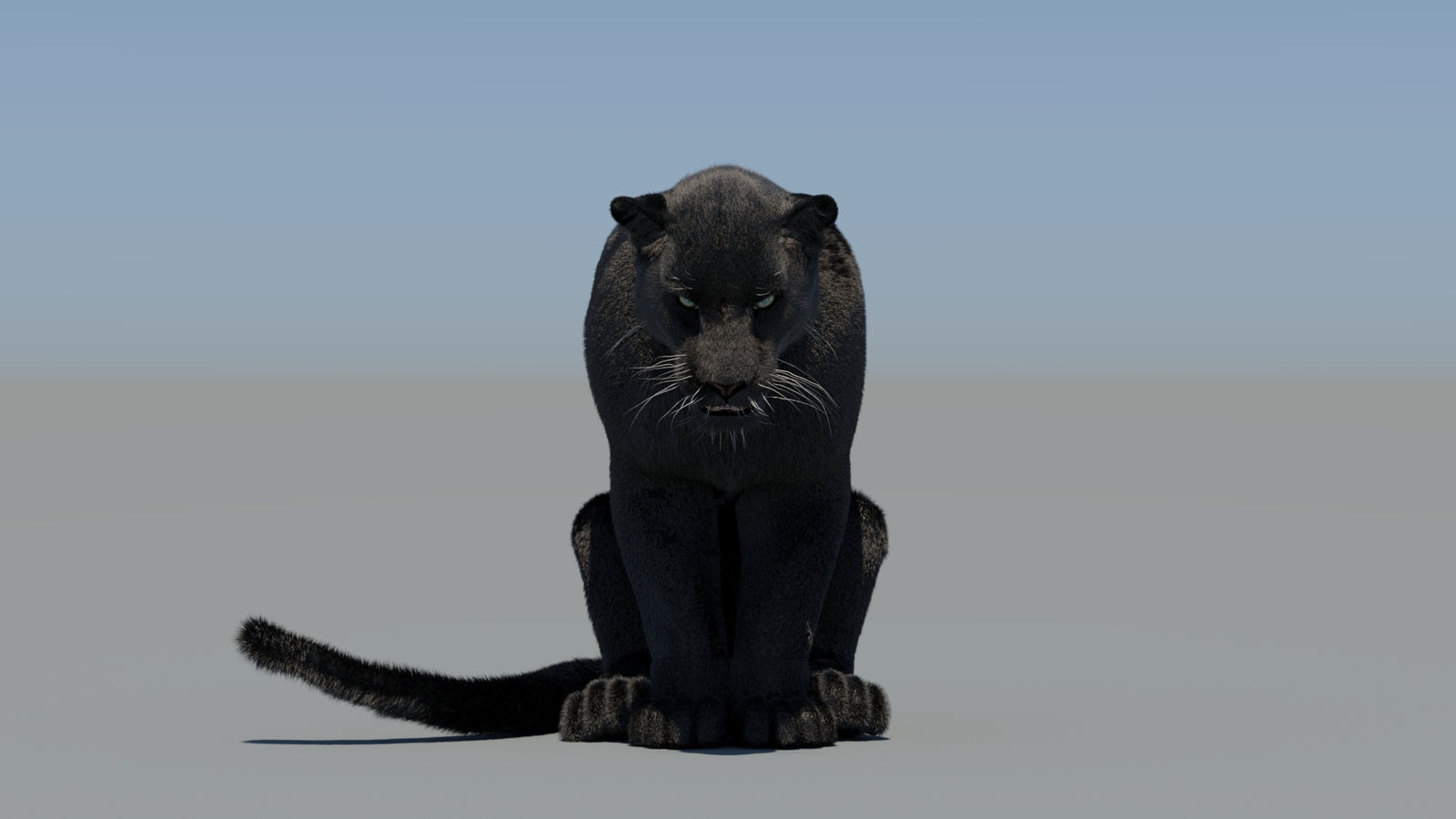 Animated Black Panther 3D Model Fur 360° view 5 frame 65