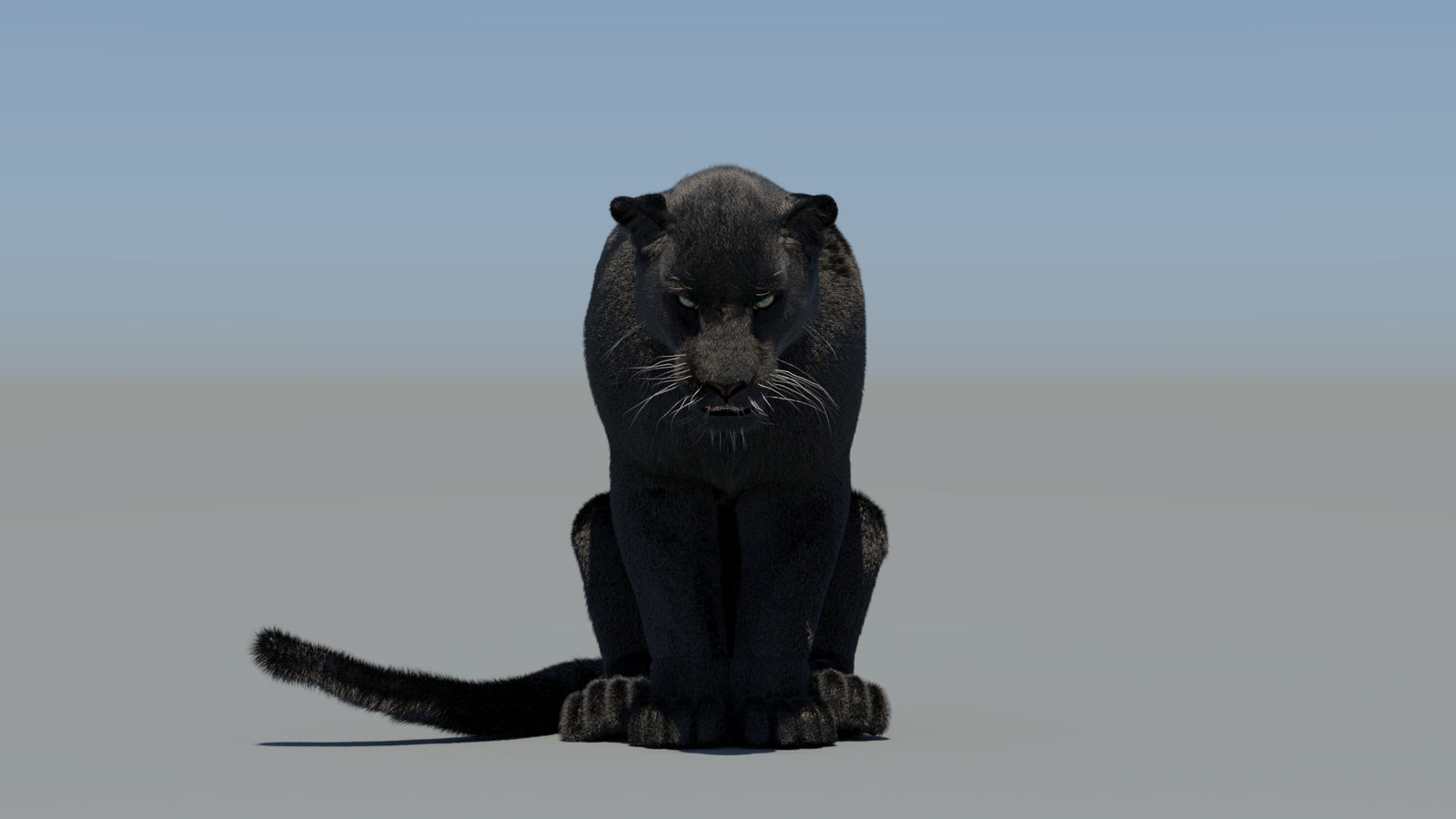 Animated Black Panther 3D Model Fur 360° view 5 frame 66