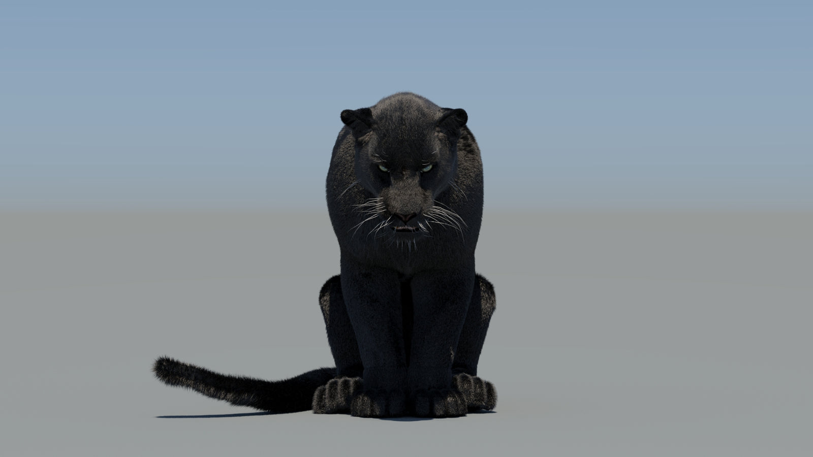 Animated Black Panther 3D Model Fur 360° view 5 frame 67