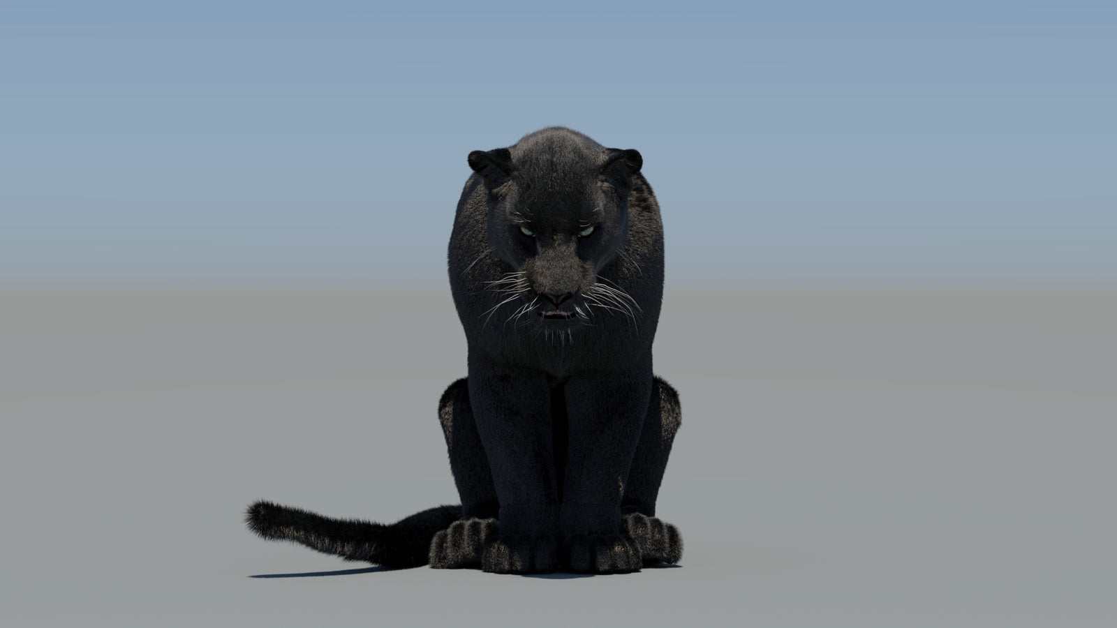 Animated Black Panther 3D Model Fur 360° view 5 frame 68