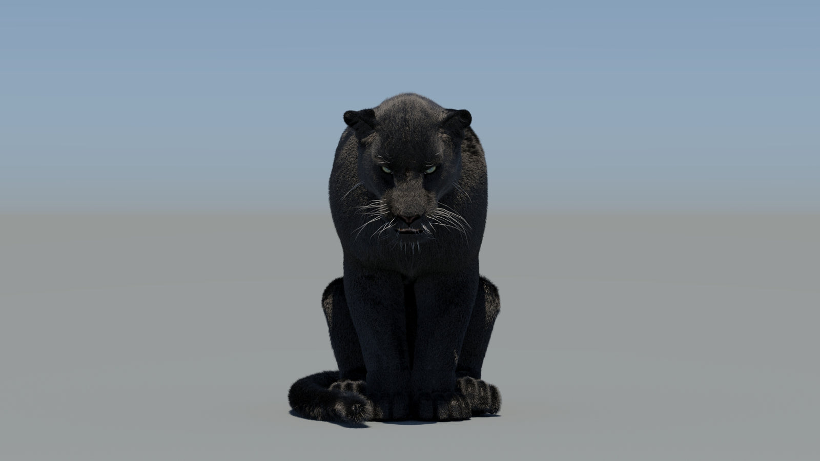 Animated Black Panther 3D Model Fur 360° view 5 frame 70