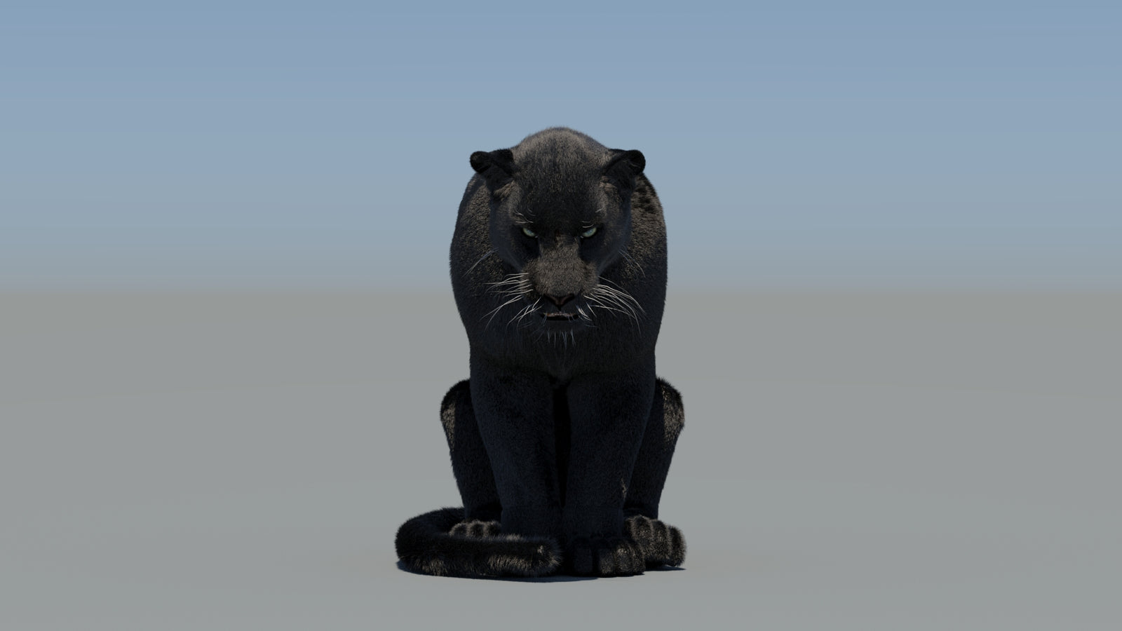 Animated Black Panther 3D Model Fur 360° view 5 frame 71
