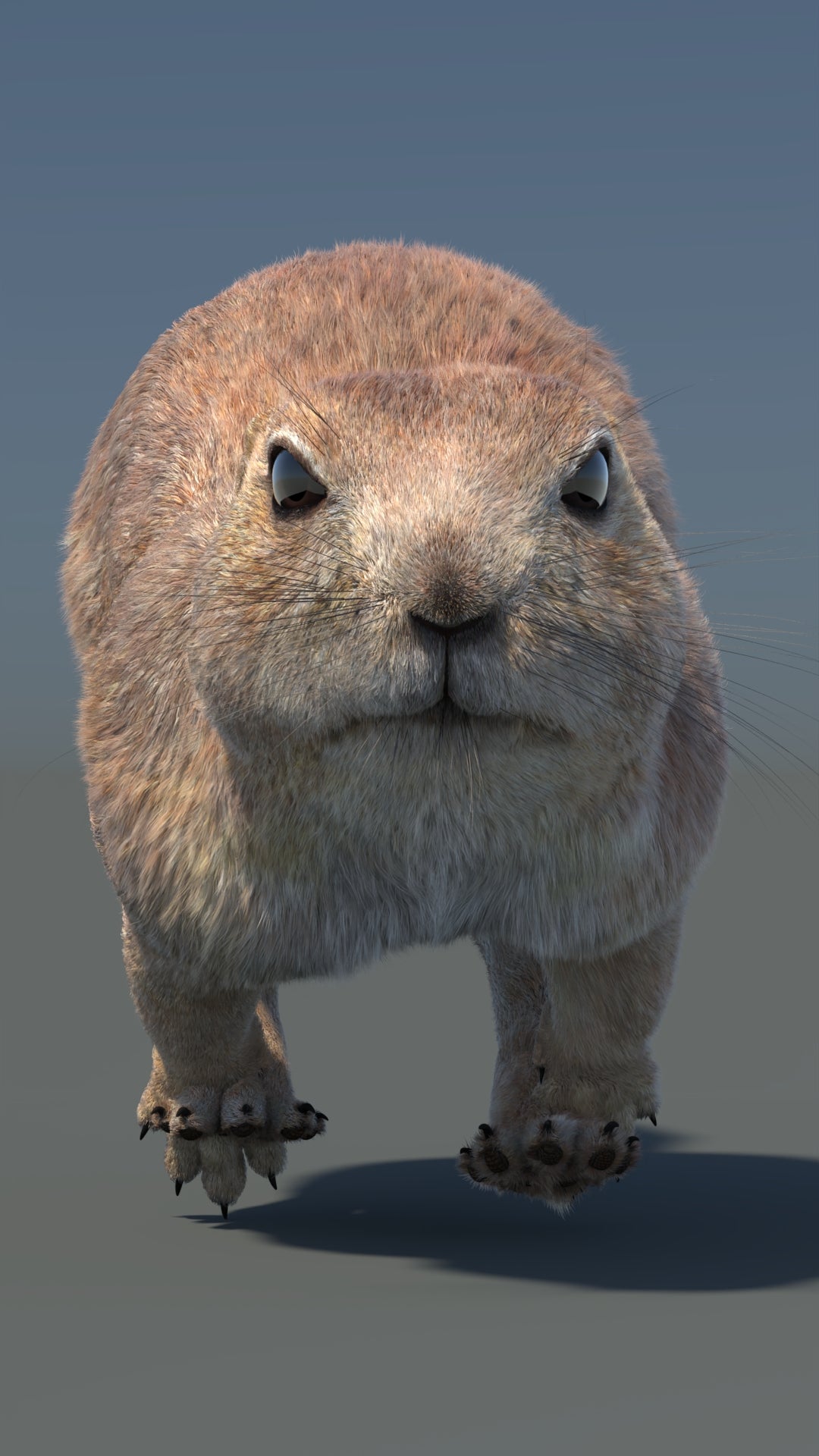 Animated Prairie Dog 3D Model Fur 360° view 6 frame 5