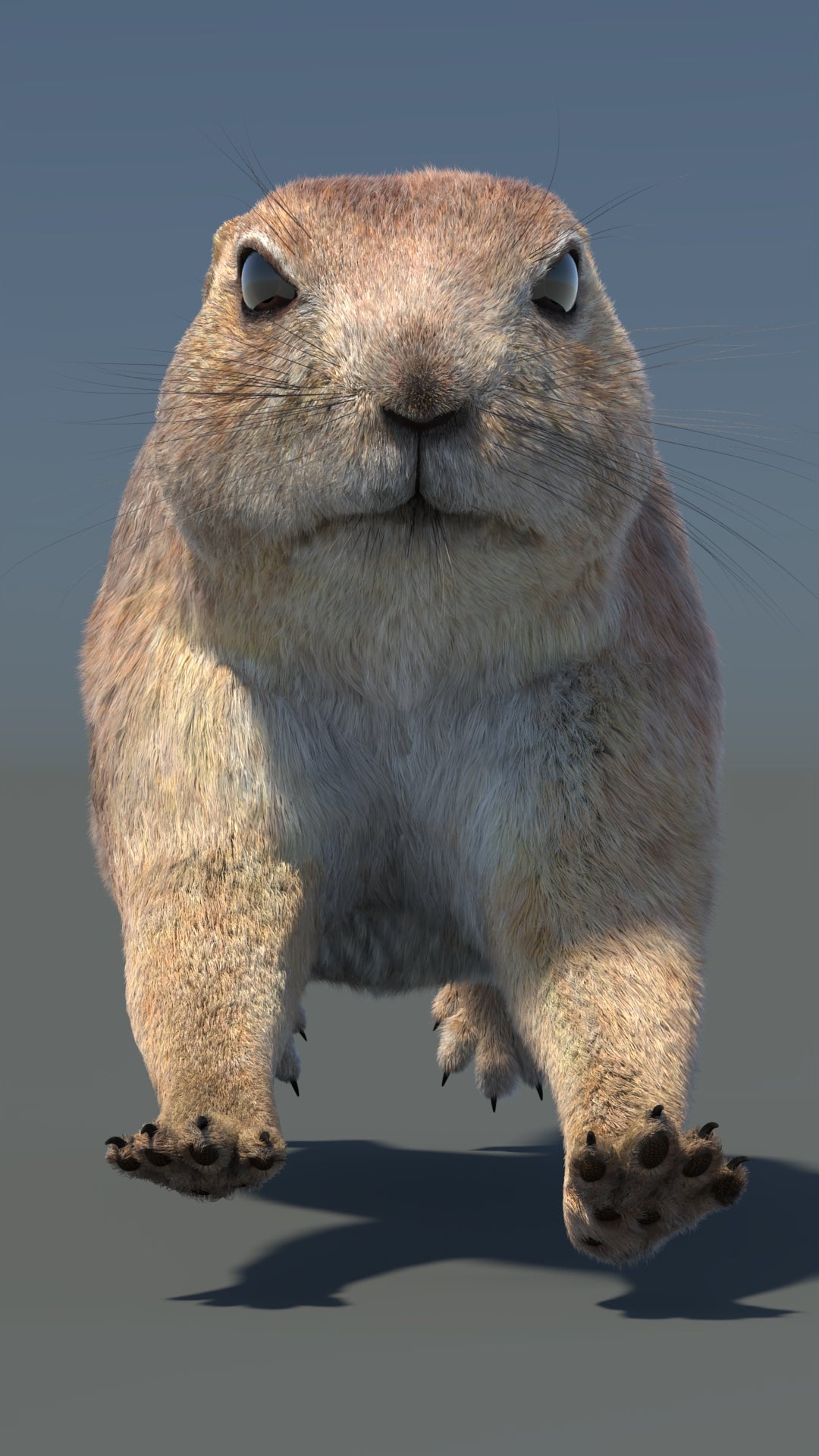 Animated Prairie Dog 3D Model Fur 360° view 6 frame 10