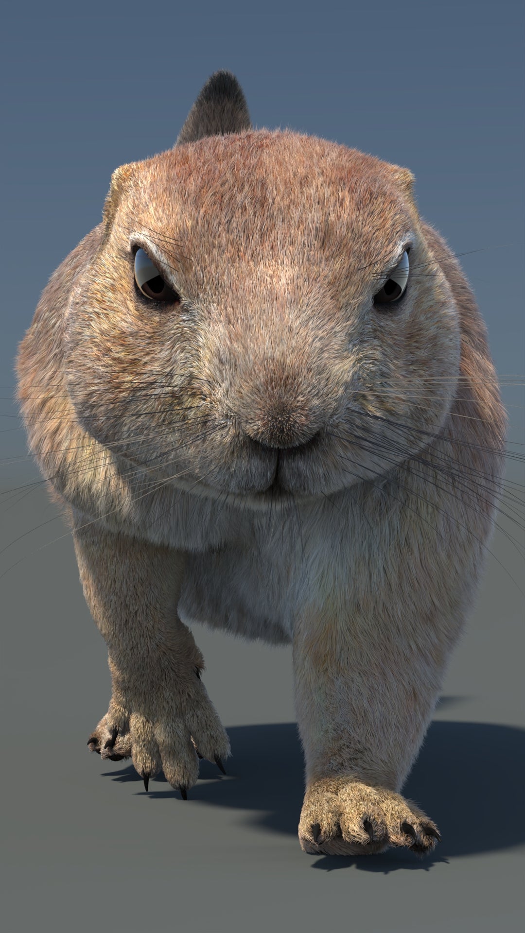 Animated Prairie Dog 3D Model Fur 360° view 5 frame 2