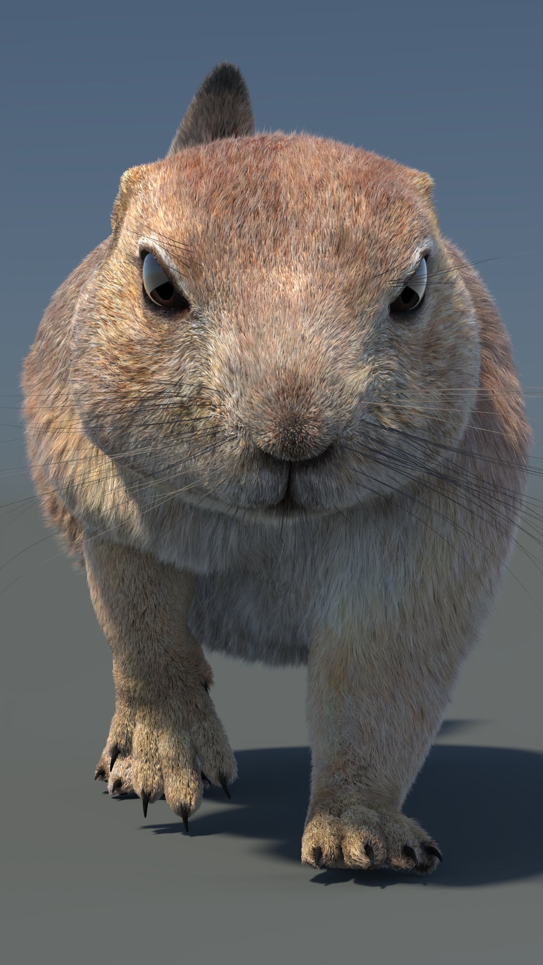 Animated Prairie Dog 3D Model Fur 360° view 5 frame 3