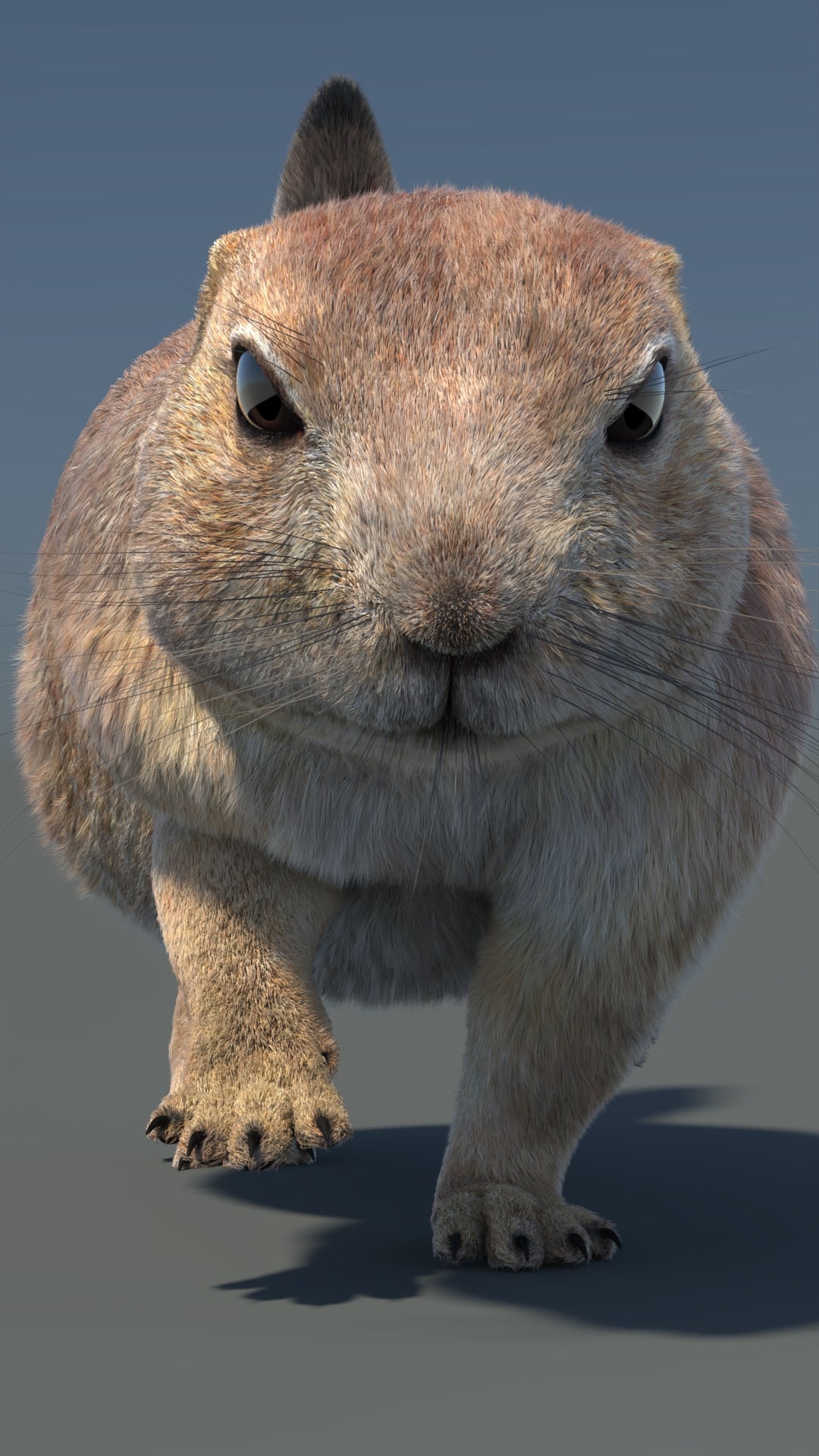 Animated Prairie Dog 3D Model Fur 360° view 5 frame 6