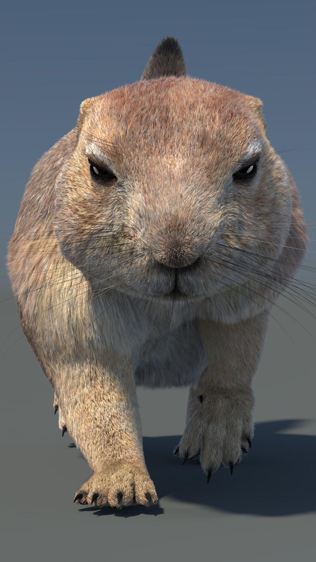 Animated Prairie Dog 3D Model Fur 360° view 5 frame 13