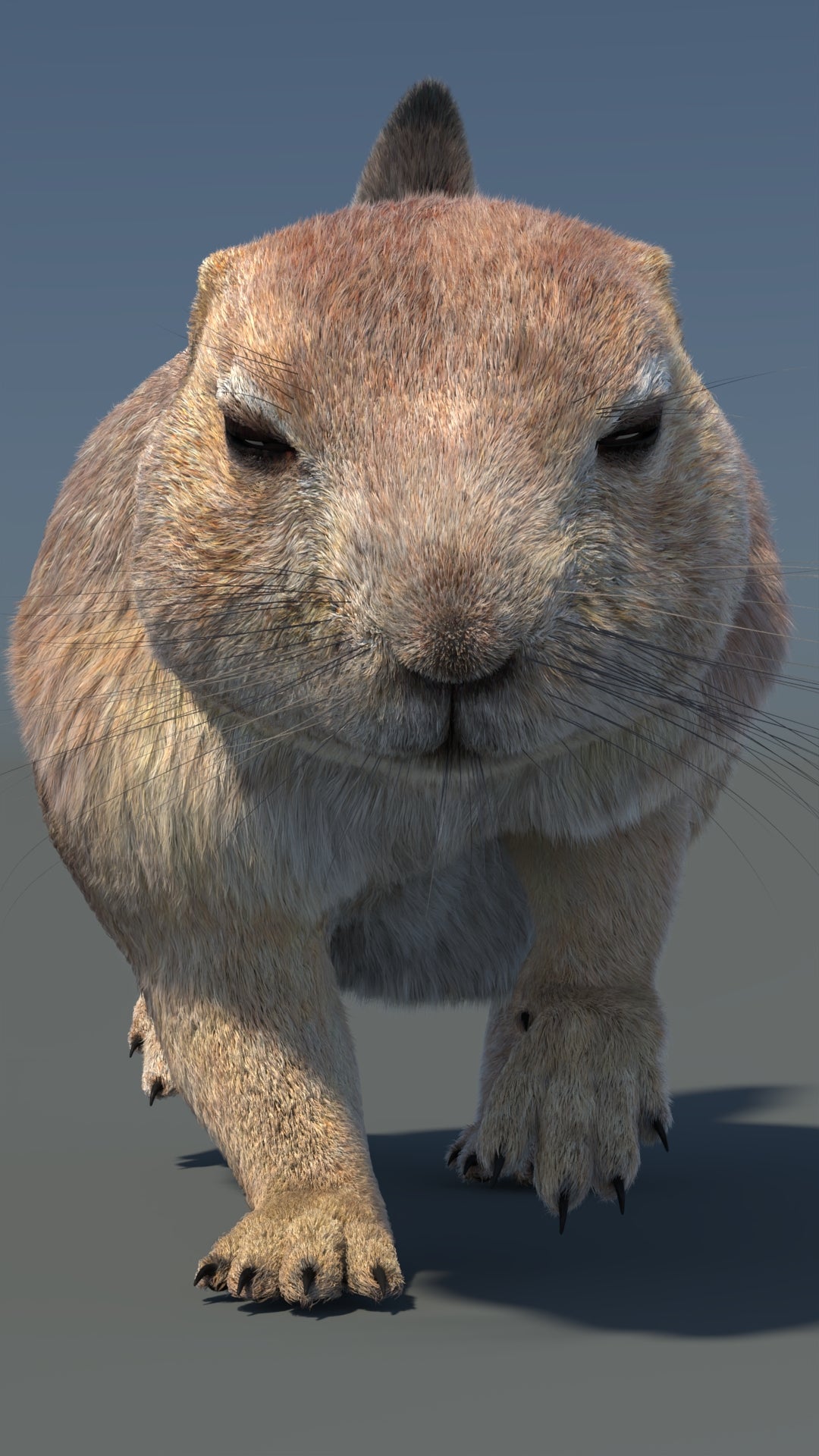 Animated Prairie Dog 3D Model Fur 360° view 5 frame 14