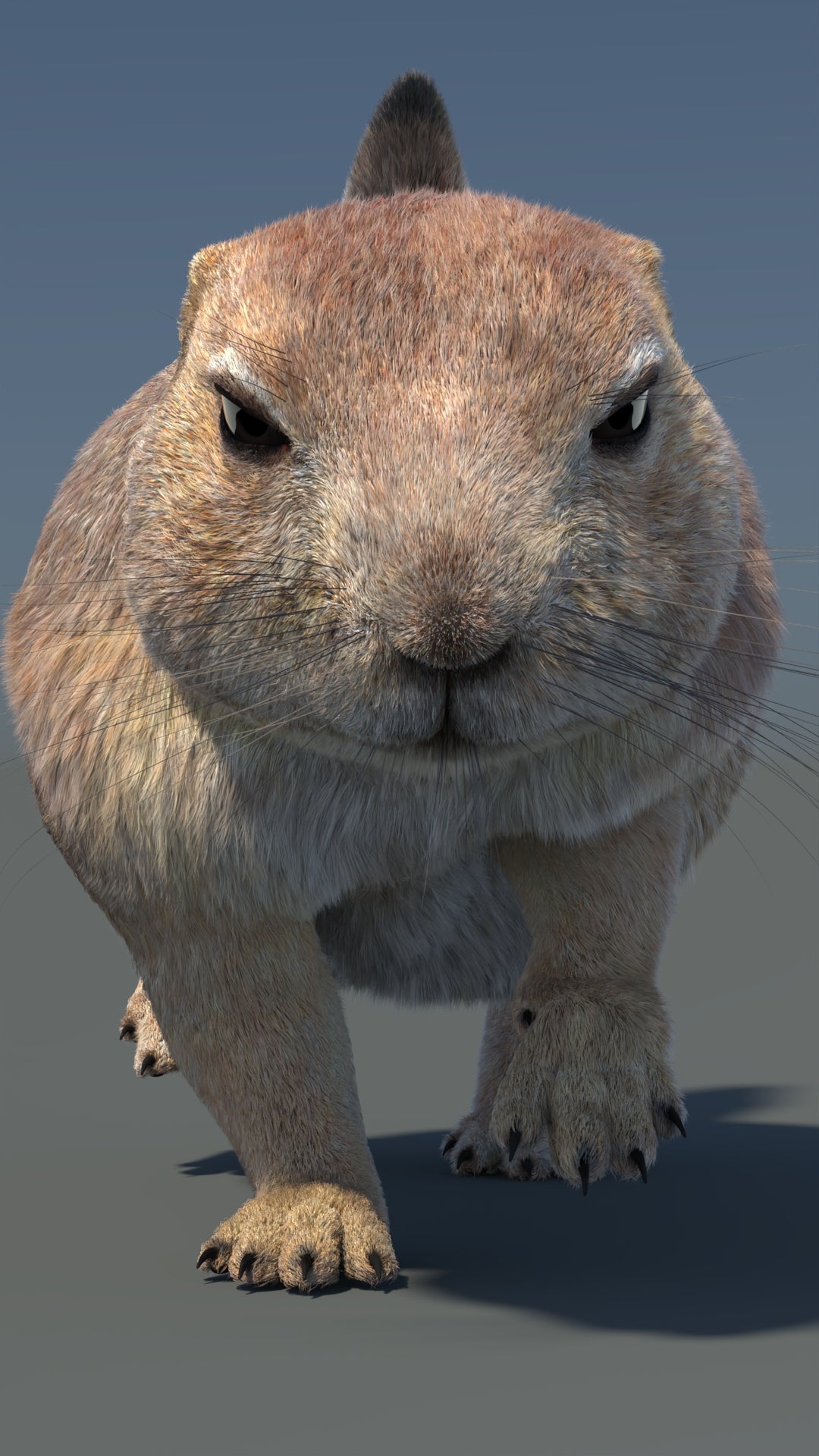 Animated Prairie Dog 3D Model Fur 360° view 5 frame 15