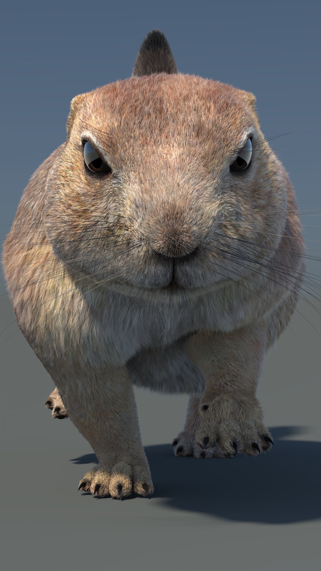 Animated Prairie Dog 3D Model Fur 360° view 5 frame 16