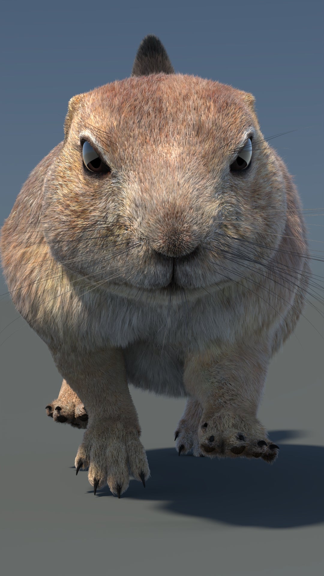 Animated Prairie Dog 3D Model Fur 360° view 5 frame 17