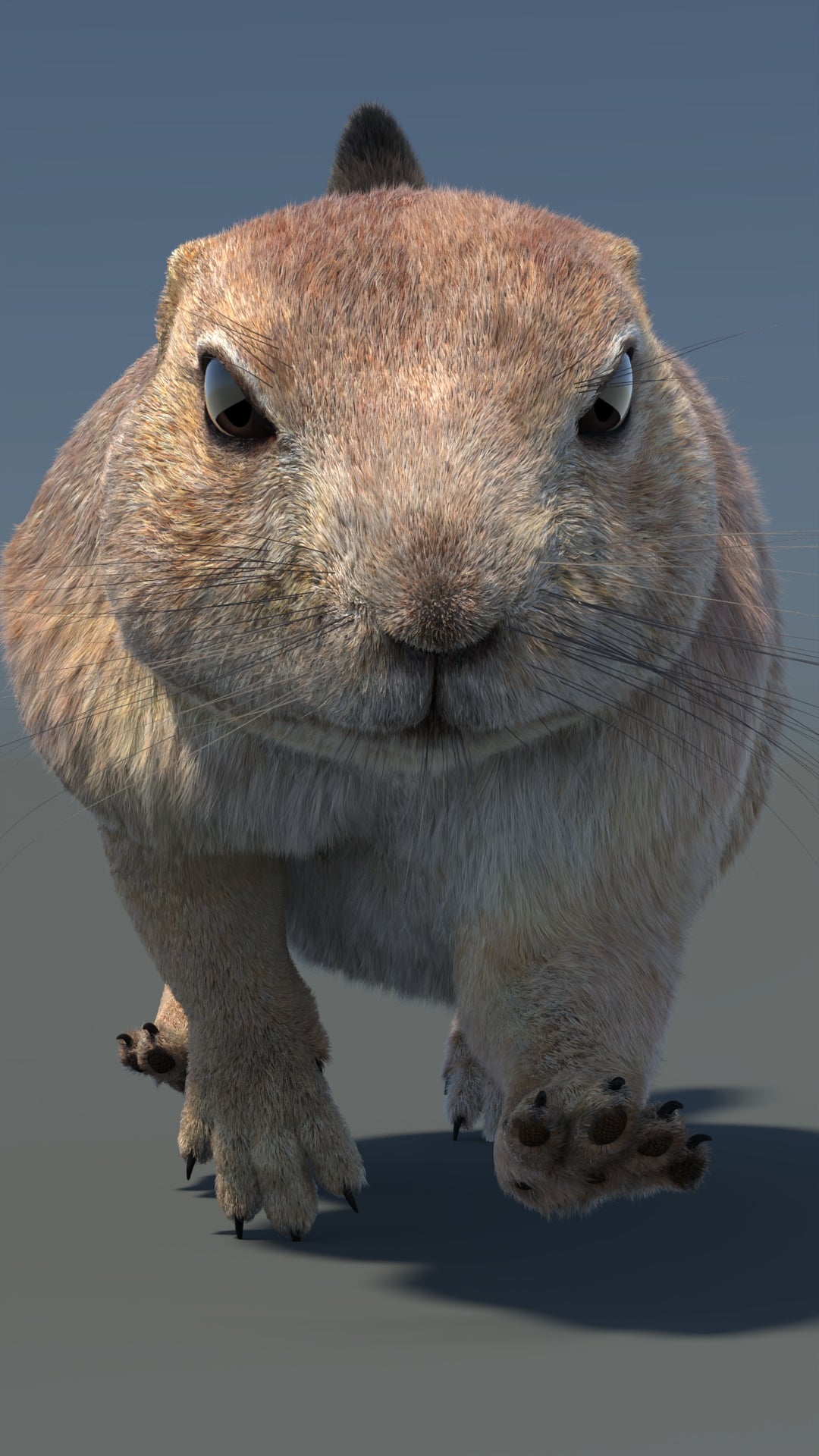 Animated Prairie Dog 3D Model Fur 360° view 5 frame 18