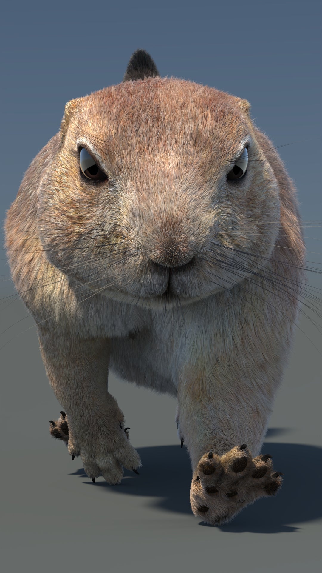 Animated Prairie Dog 3D Model Fur 360° view 5 frame 20