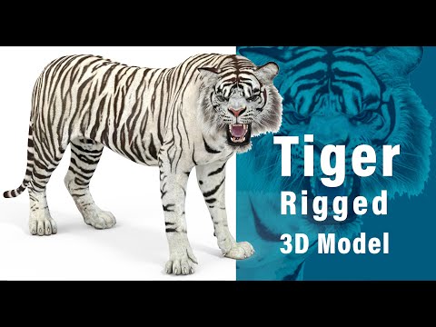 Rigged Sumatran White Tiger 3D Model