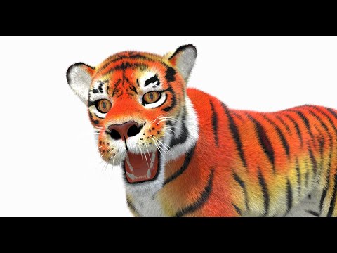 Cartoon Tiger Animated with Fur 3D Model