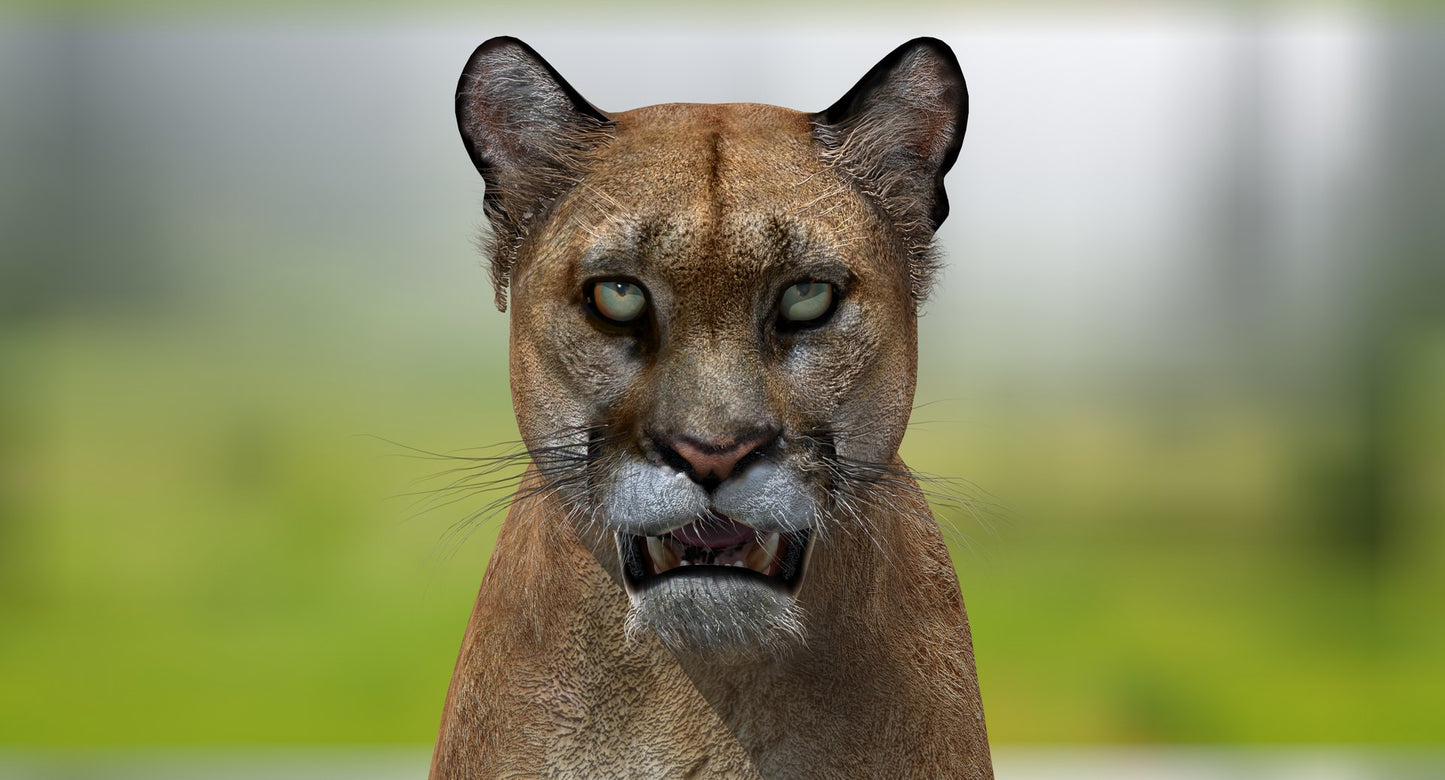 Puma 3D Model