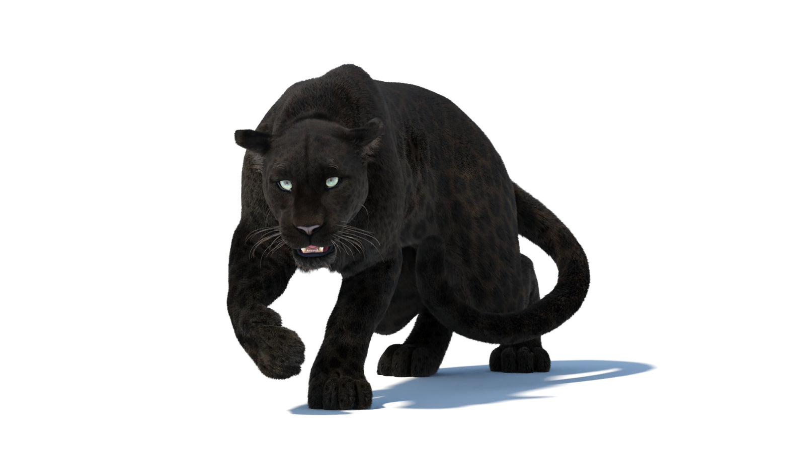 Black Panther 3D Model Rigged Fur 360° view 3 frame 7