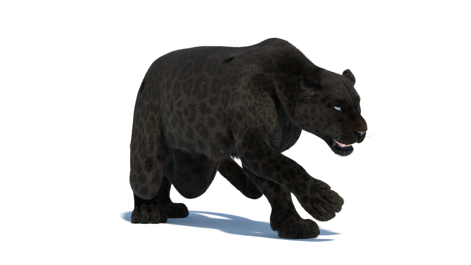 Black Panther 3D Model Rigged Fur 360° view 3 frame 12