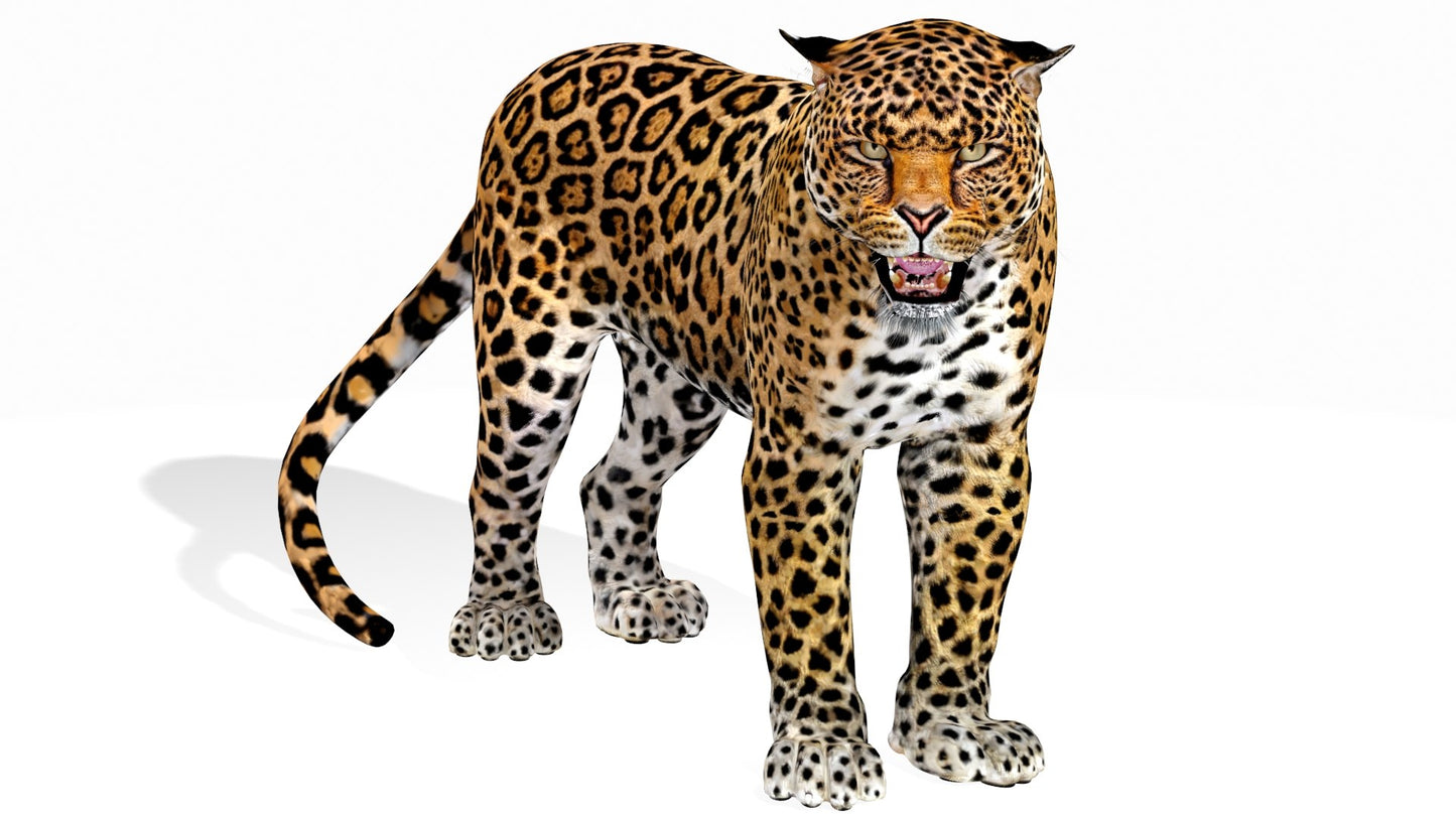 Rigged Jaguar 3D Model