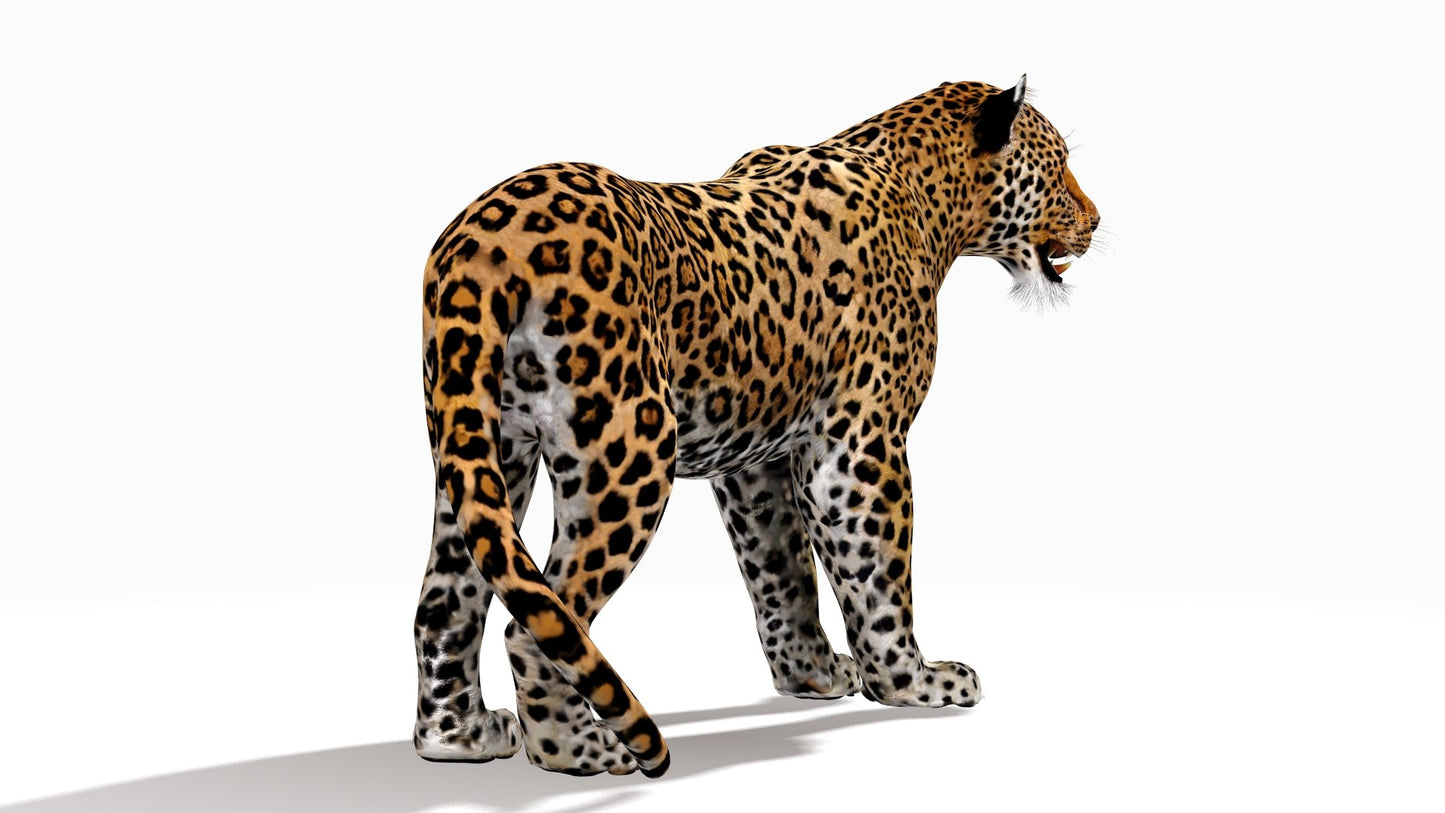Rigged Jaguar 3D Model