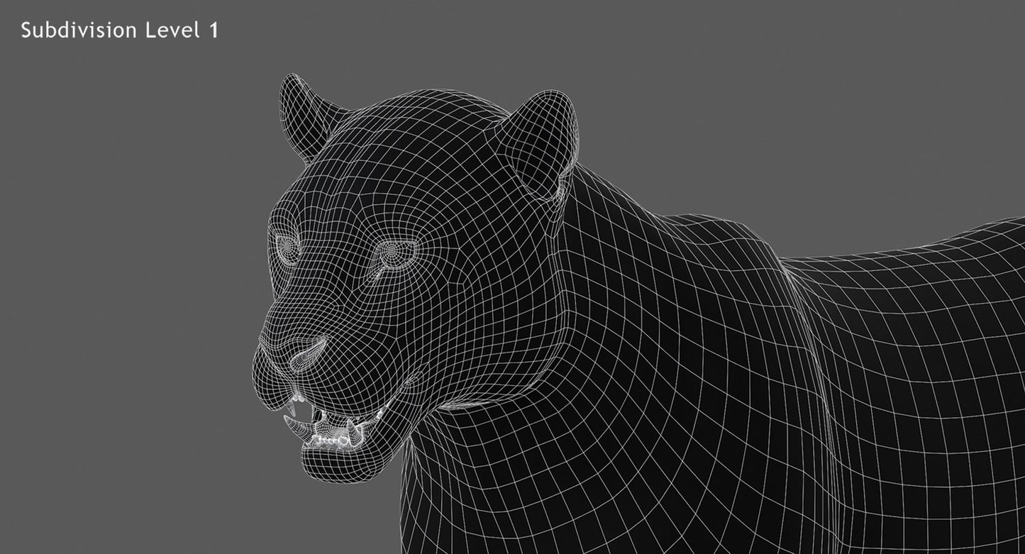 Rigged Jaguar 3D Model