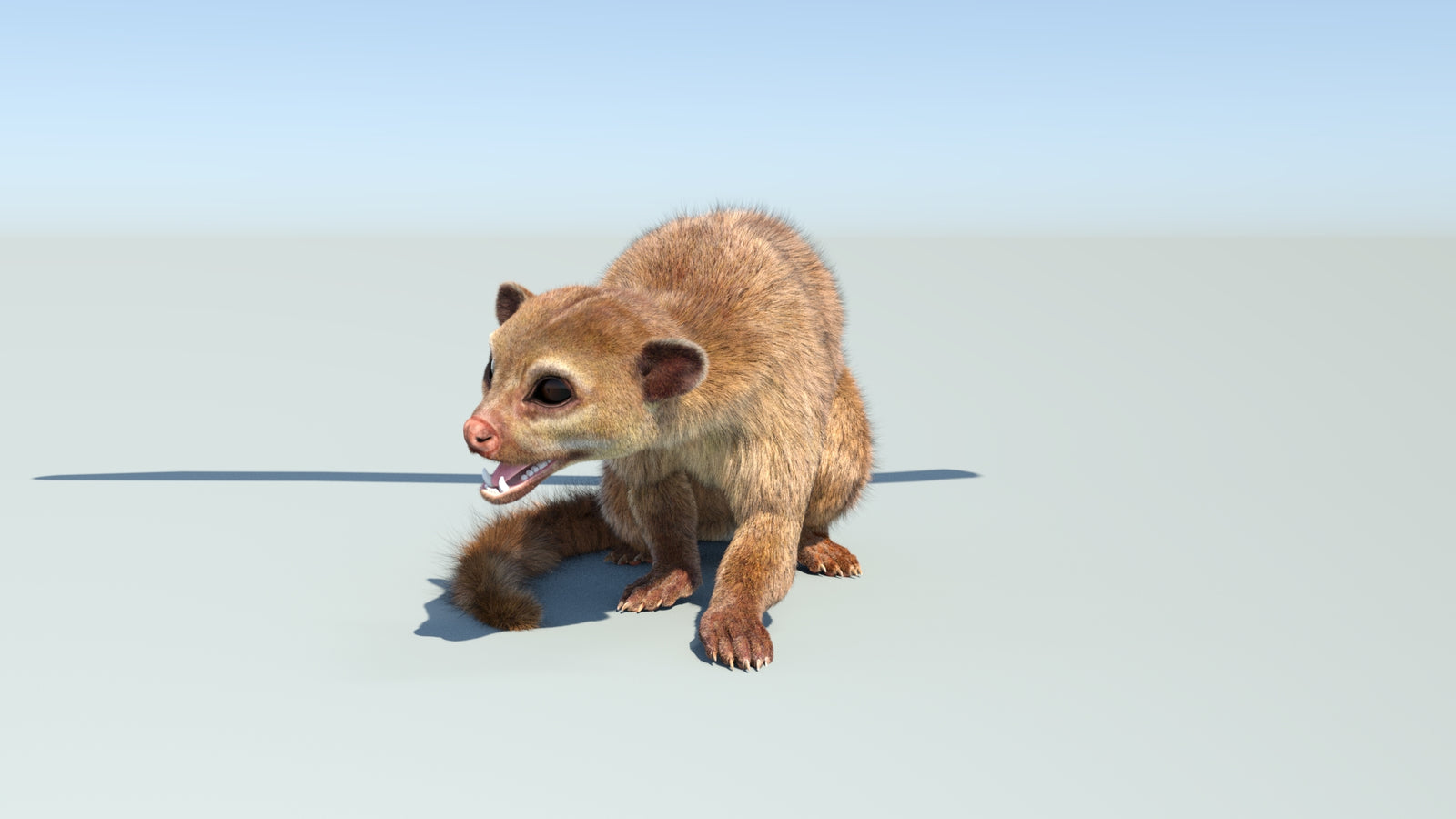 Realistic Kinkajou 3D Model Animated Fur 360° view 2 frame 8