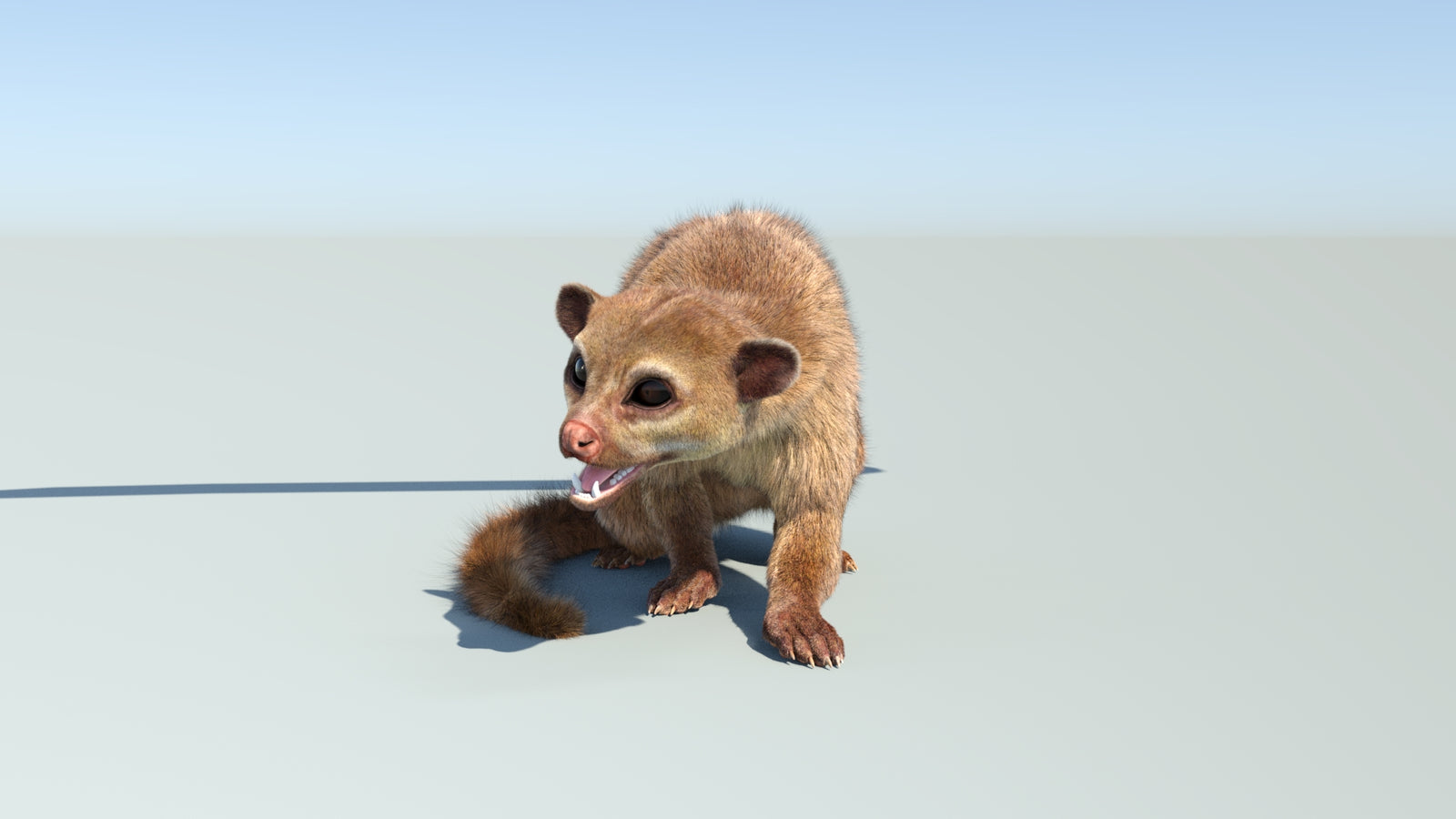 Realistic Kinkajou 3D Model Animated Fur 360° view 2 frame 9