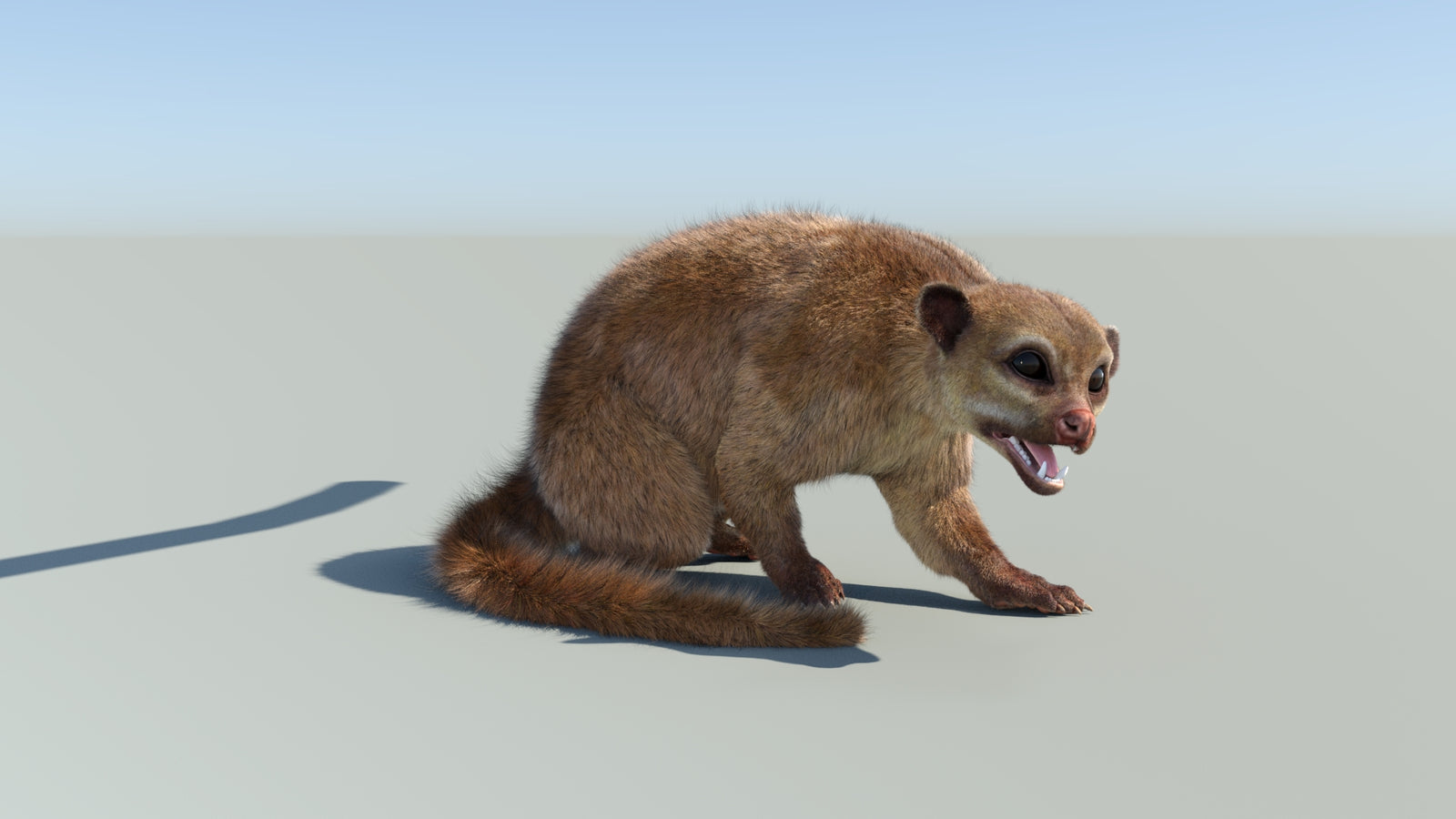 Realistic Kinkajou 3D Model Animated Fur 360° view 2 frame 14