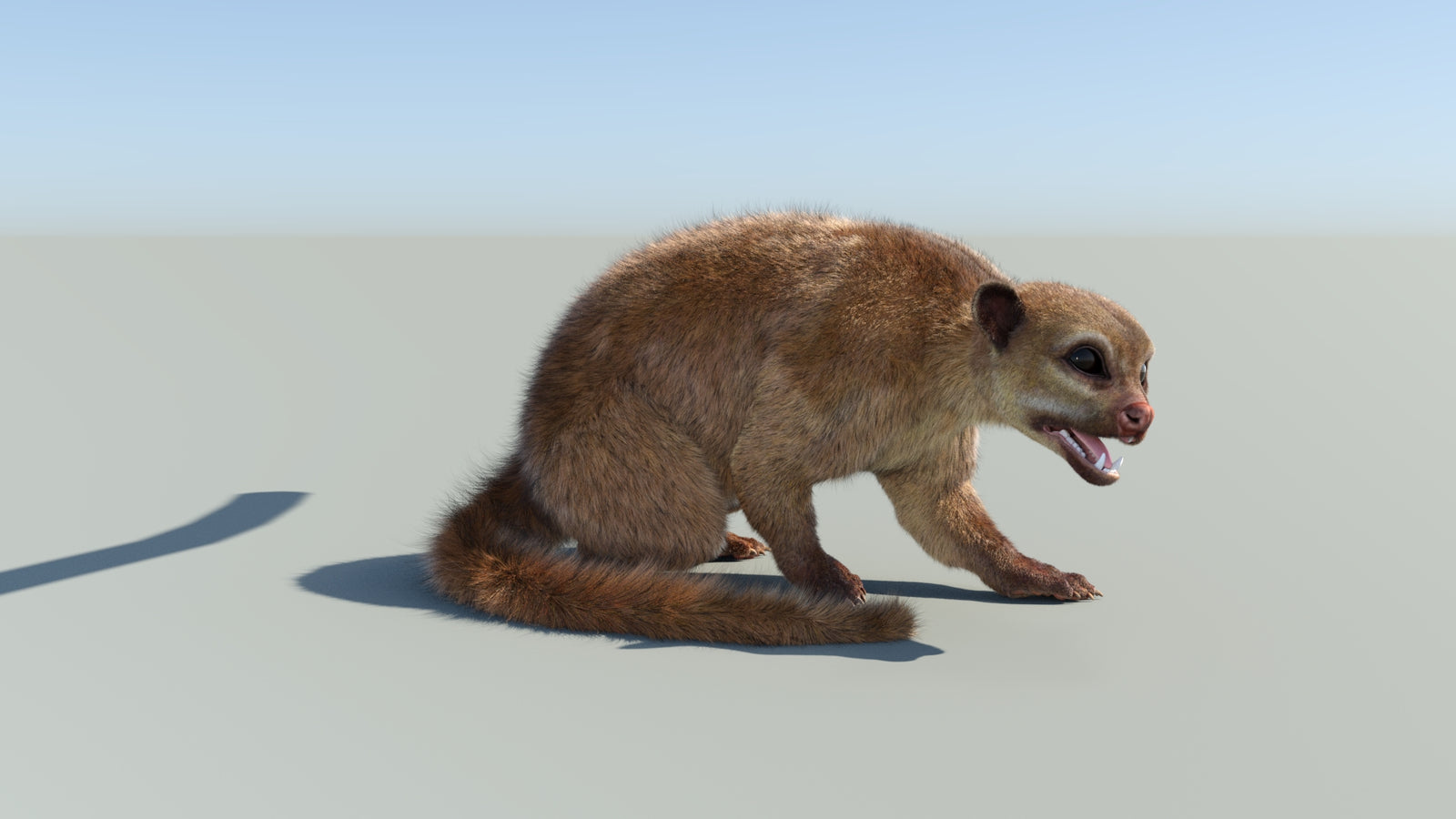 Realistic Kinkajou 3D Model Animated Fur 360° view 2 frame 15