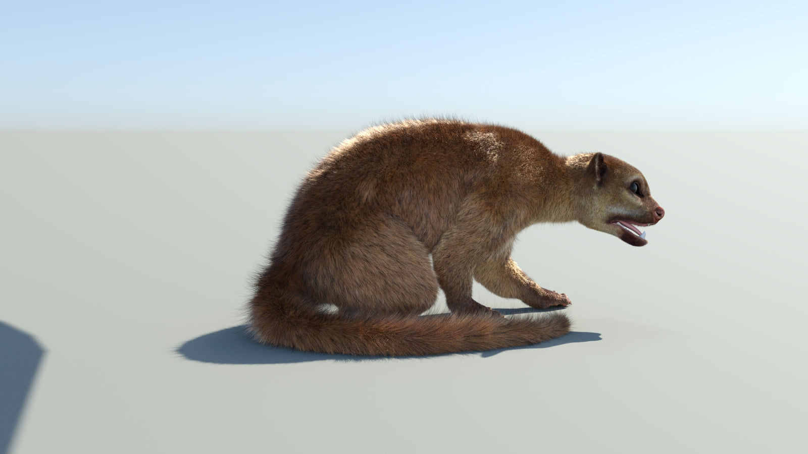 Realistic Kinkajou 3D Model Animated Fur 360° view 2 frame 19