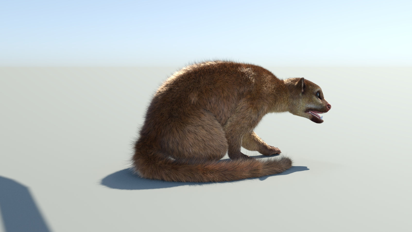 Realistic Kinkajou 3D Model Animated Fur 360° view 2 frame 20