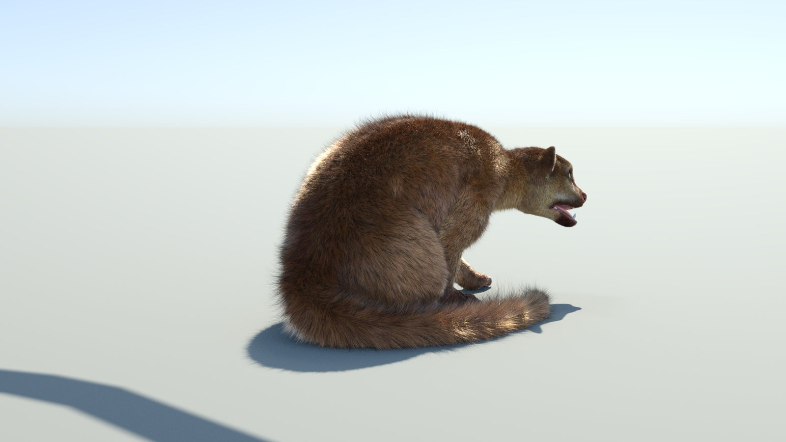 Realistic Kinkajou 3D Model Animated Fur 360° view 2 frame 22