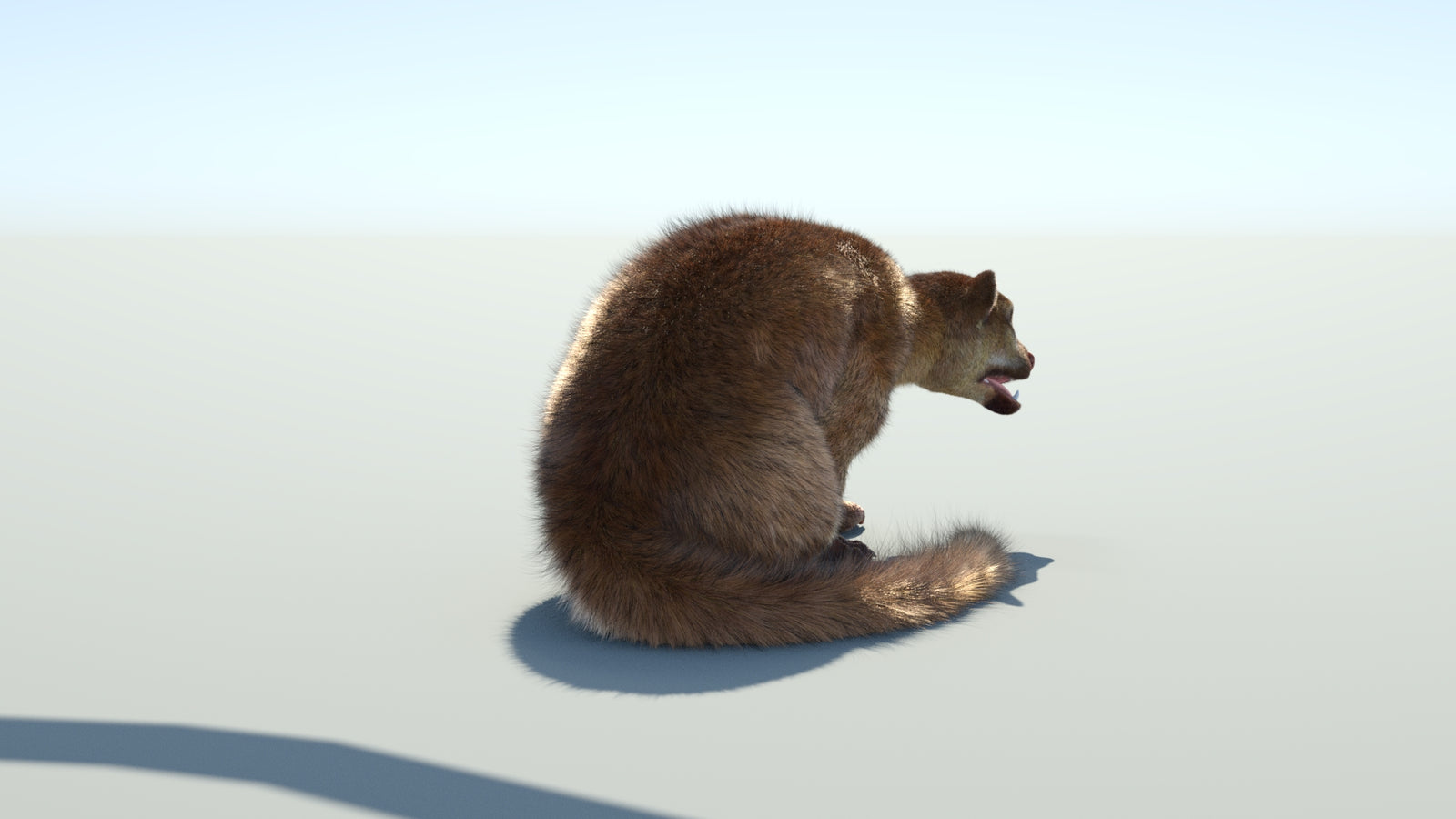 Realistic Kinkajou 3D Model Animated Fur 360° view 2 frame 23