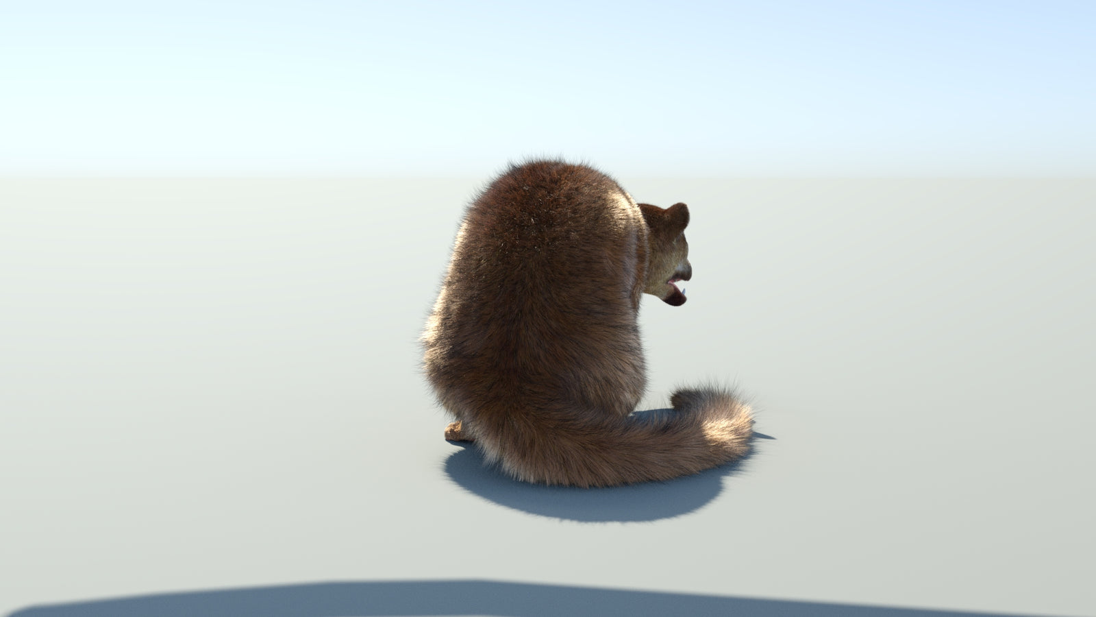 Realistic Kinkajou 3D Model Animated Fur 360° view 2 frame 25