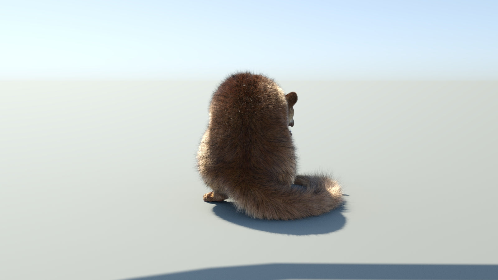 Realistic Kinkajou 3D Model Animated Fur 360° view 2 frame 26