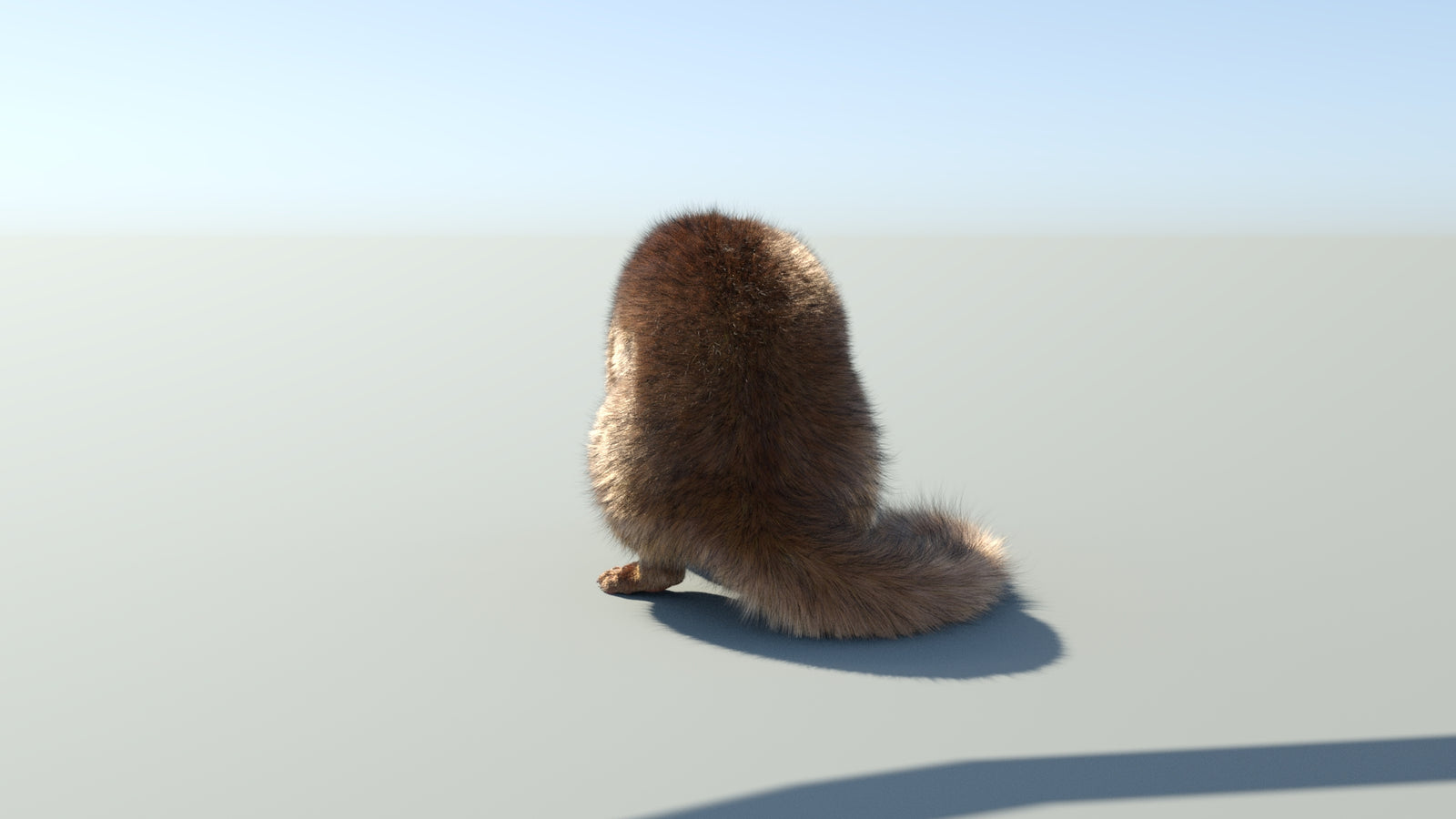 Realistic Kinkajou 3D Model Animated Fur 360° view 2 frame 27