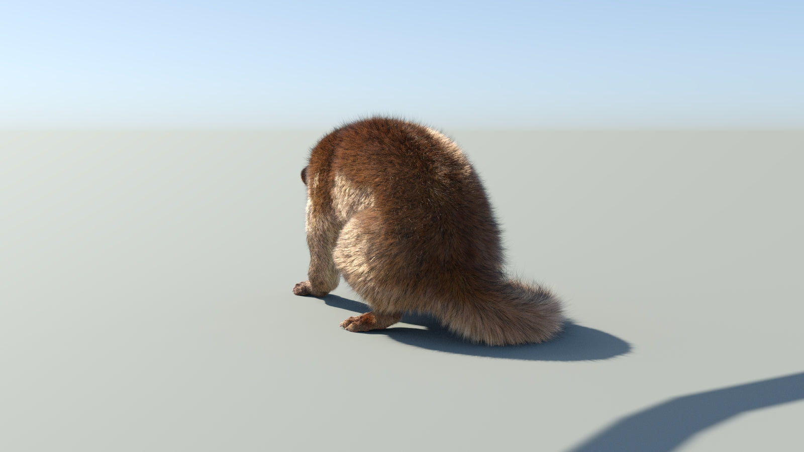 Realistic Kinkajou 3D Model Animated Fur 360° view 2 frame 29