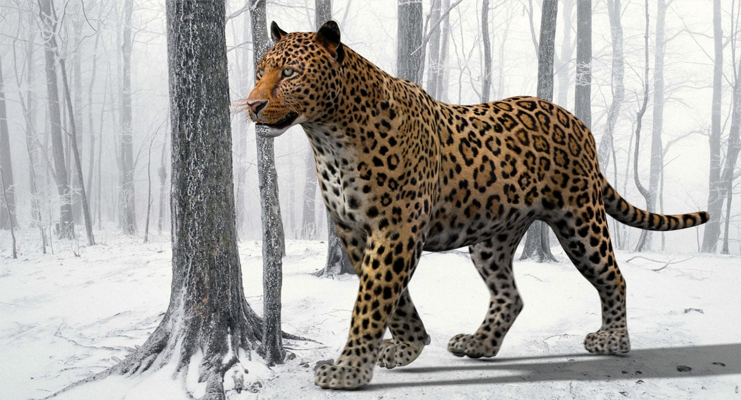 Leopard Rigged 3D Model