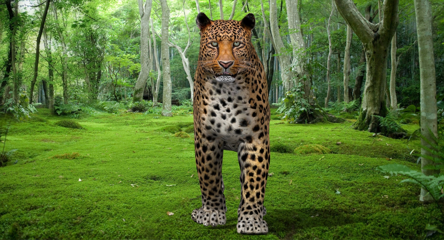 Leopard Rigged 3D Model