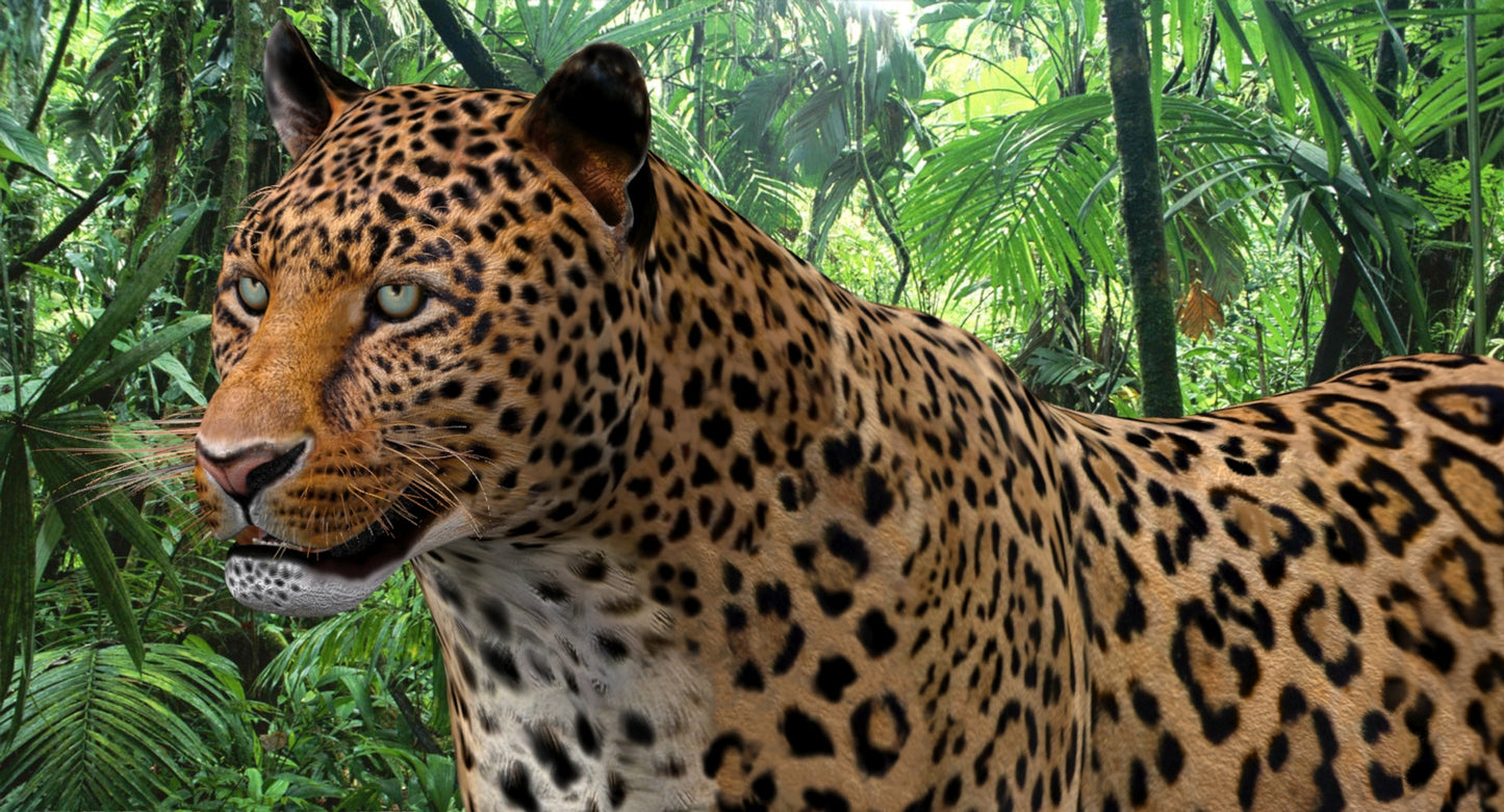 Leopard Rigged 3D Model