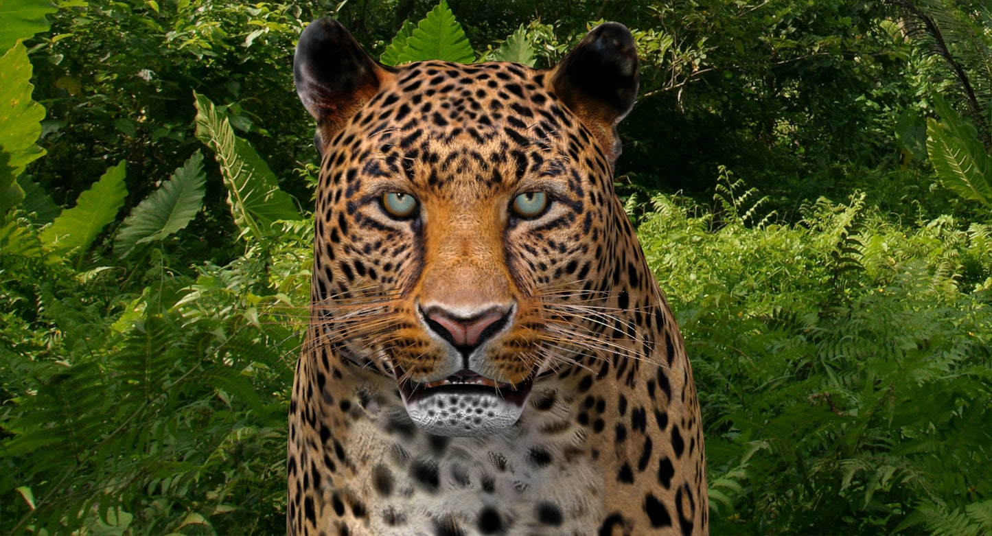 Leopard Rigged 3D Model